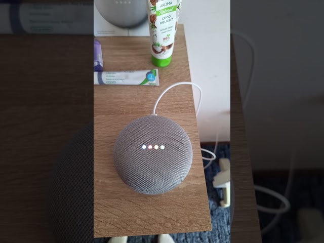 Google Home Mini Startup