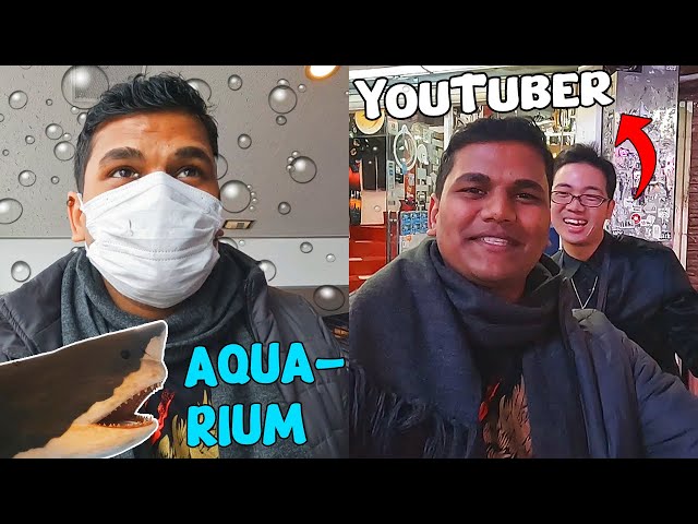 OSAKA'S BIGGEST AQUARIUM & MEETING @miraie (Day 12)