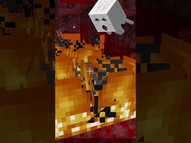 WATER in the NETHER with this trick...