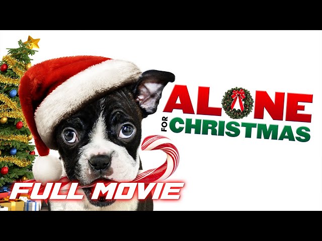 Alone for Christmas | Full Christmas Comedy Movie