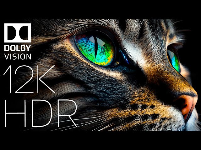 WORLD OF ANIMALS IN DOLBY VISION™ | HDR 12K 60FPS (TRUE CINEMATIC)