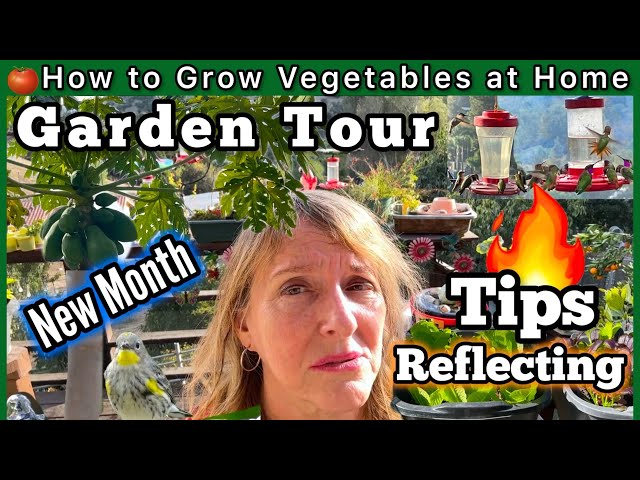 Garden Tour Growing CHEAP Vegetables & Herbs EASY Gardening TIPS for Beginners, Turmeric, Fires Over