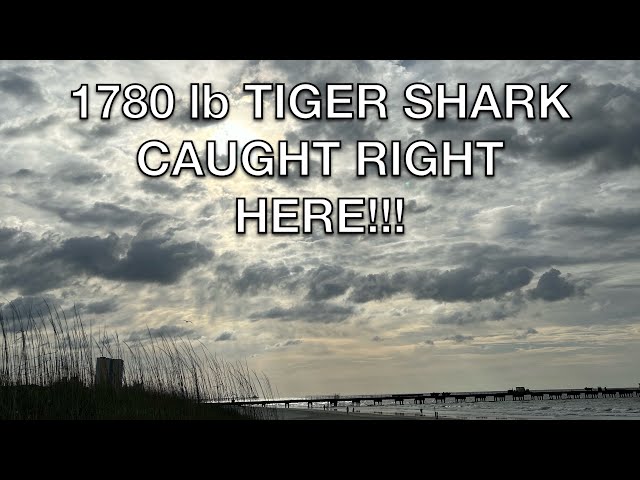 Fish at OWN RISK | Cherry Grove Beach, exploring for shark teeth beneath dramatic skies