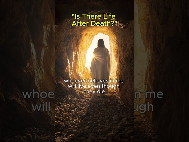 Is There Life After Death? #history #truth #faith #facts #jesus