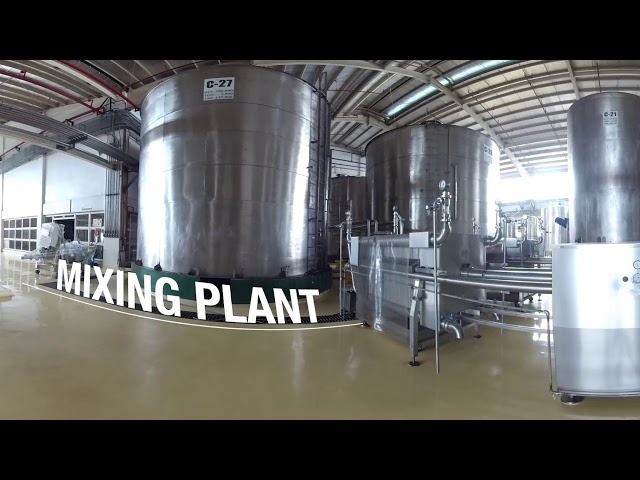 Tanduay Plantation