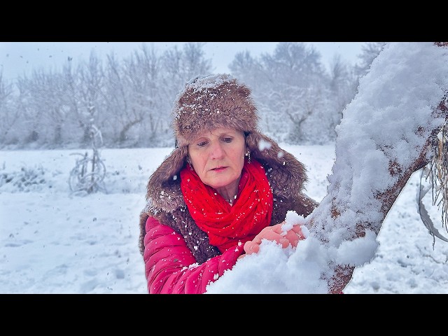 Albanian Village Life: Snowy Days and Timeless Cooking Traditions! ❄️🍲🇦🇱