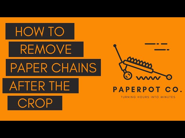 How to Remove Paper Chains (After the Crop)