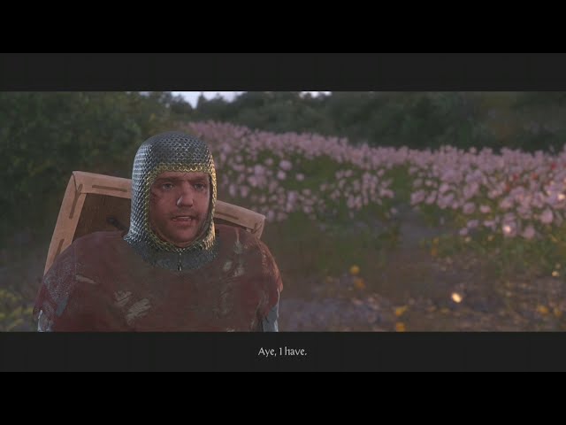 Kingdom Come Deliverance End Game Punching