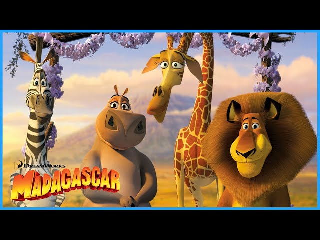 Journey to Africa 🌍 | Madagascar: Escape 2 Africa | DreamWorks Madagascar