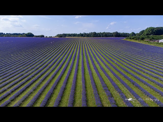 4k Drone footage - Lavender Field Farm, Snowshill, Cotswolds on DJI Mini 2