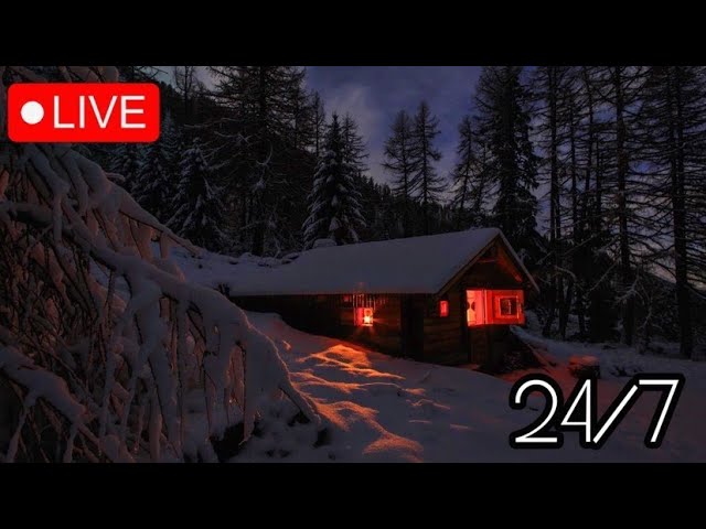 Light Rain Thunderstorm 24/7 Sounds In The Woods For Sleeping/Relaxing!