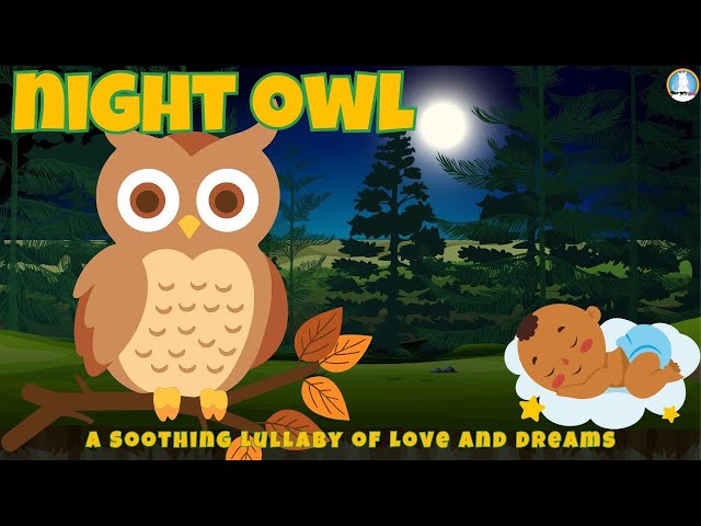 Night Owl – a Soothing Lullaby of Love and Dreams