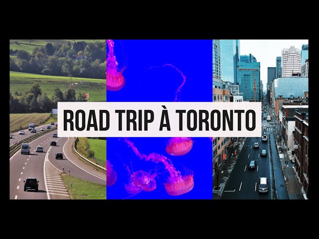 ROAD TRIP À TORONTO. Plages, Korean Hot Pot, St-Lawrence Market, Ripley's Aquarium et plus.