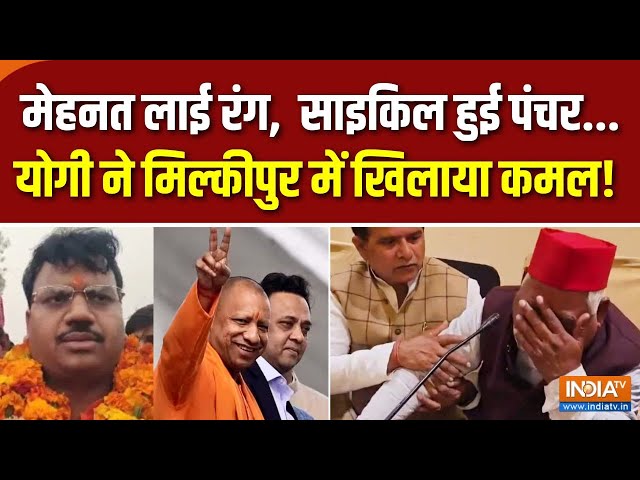 Milkipur By Election Update : मिल्कीपुर में खिला कमल...साइकिल हुई पंचर! | CM Yogi | Akhilesh Yadav