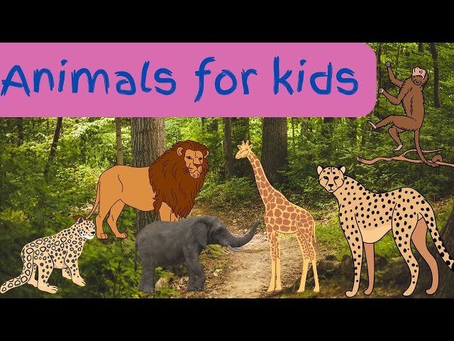 10 wild Animals. #kids#viral#short#animation#animals#shortfeeds