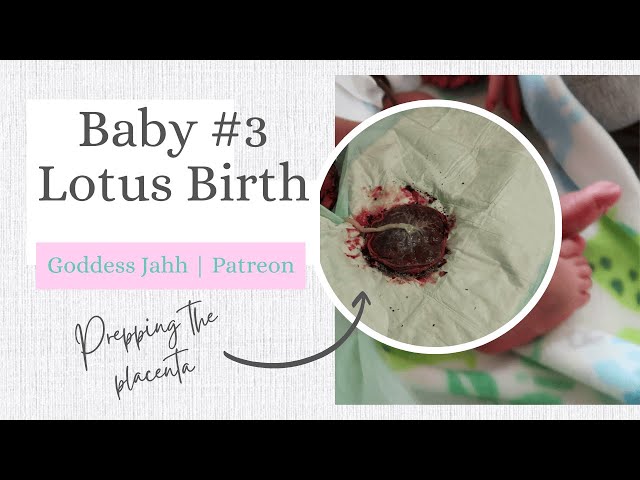 Simple LOTUS BIRTH Safe and Effective | Baby # 3 | REUPLOAD #homebirth #lotusbirth #motherhood