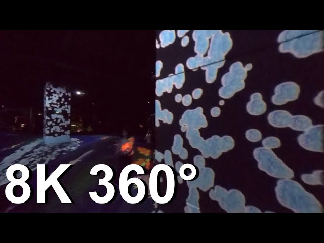 [8K 360°] teamLab Boderless in Odaiba, Tokyo, Japan / Jan 2021【QooCam8K】