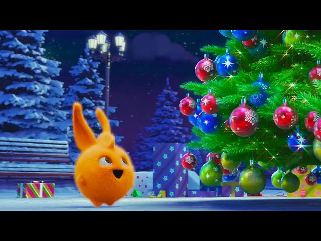 DREAMING OF CHRISTMAS | SUNNY BUNNIES COMPILATIONS | Kids Cartoons