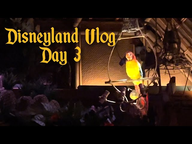 Disneyland April Trip Vlog: Day 3