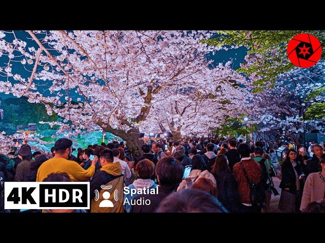 Crazy Crowds at Tokyo’s Top 5 Cherry Blossom Spots - 4K HDR - 2 Hours walk