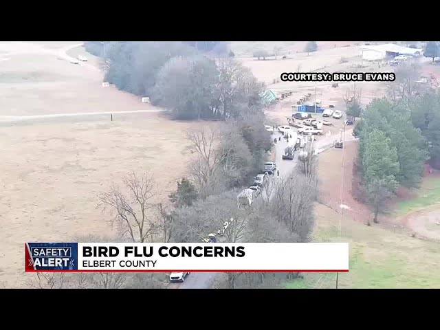 Bird Flu concerns in Elbert County