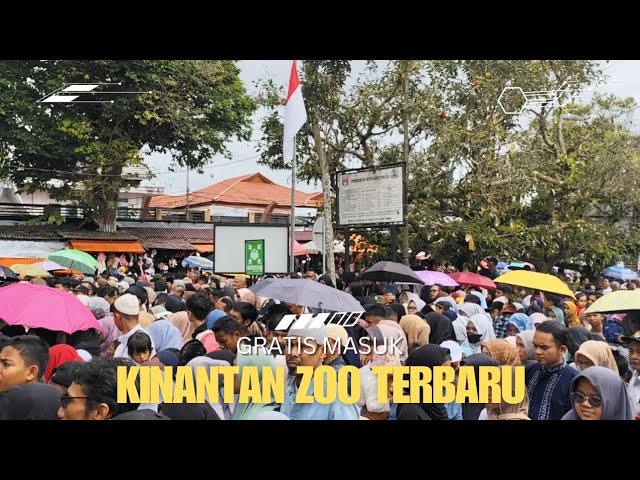 MASUK GRATIS !!! Update Kebun Binatang Kinantan Bukittinggi