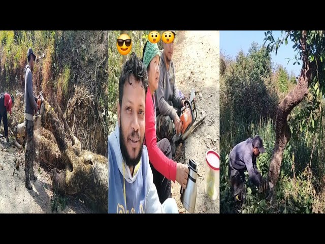 jungle ka ped Sab machine se Kat Diya 😲 !! family vlogs // daily lifestyle vlog