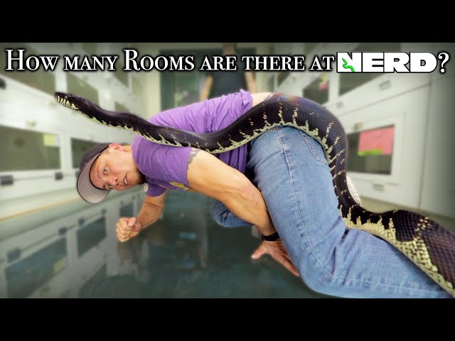 New England REPTILE Distributors Tour PART 1