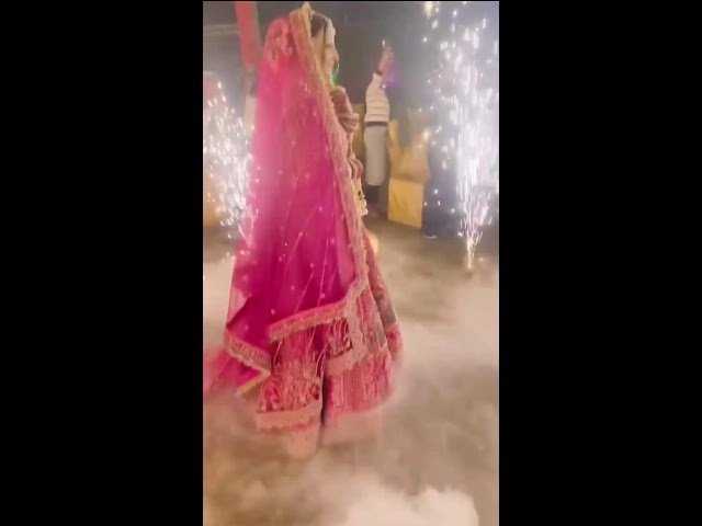 Wedding Live Videos