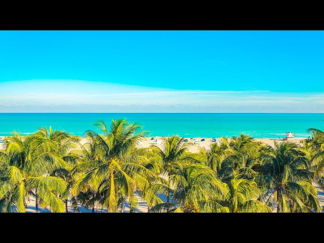 Bossa Nova Music 2025 ☕ Beach Ambience with Jazz Music 🌊 Gentle Melody with The Sounds Of Waves