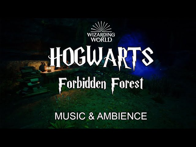 🦉Relaxing in front of the dungeon in the Forbidden Forest🦉 | Harry Potter Music and Ambience