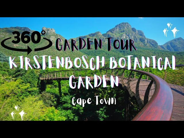 Kirstenbosch Botanical Garden | 360 Tour Walk Through