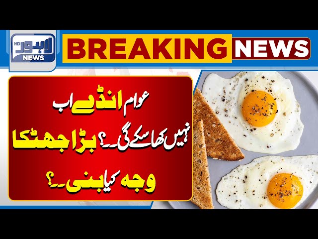 Breaking News | Chicken and Egg Prices Change | Lahore News HD