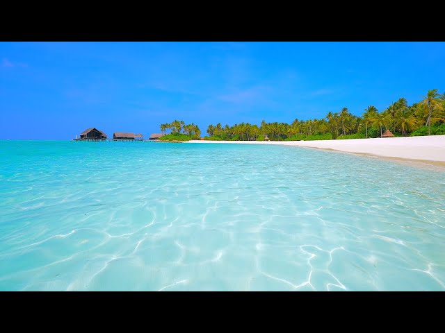 Maldives Ocean 4K 🏝 Tropical Beach in Summer. Ocean sounds for sleep and study