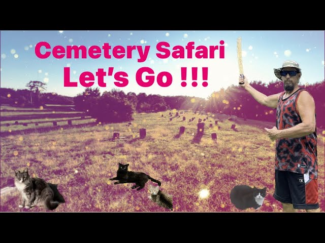 Cemetery Safari