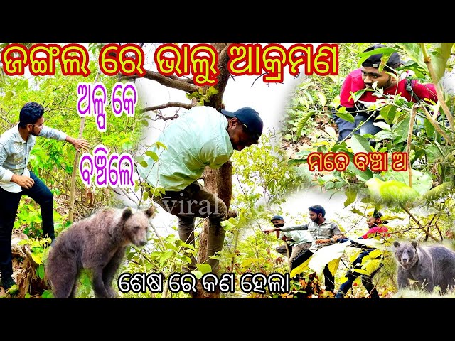 🌳 Jangal me କଣ ହେଲା ଦେଖ Sbstarvlogs Odisha vlogs ଅଳ୍ପ କେ