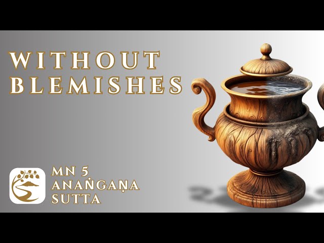 MN 5: Anaṅgaṇa Sutta | 10-Minute Majjhima