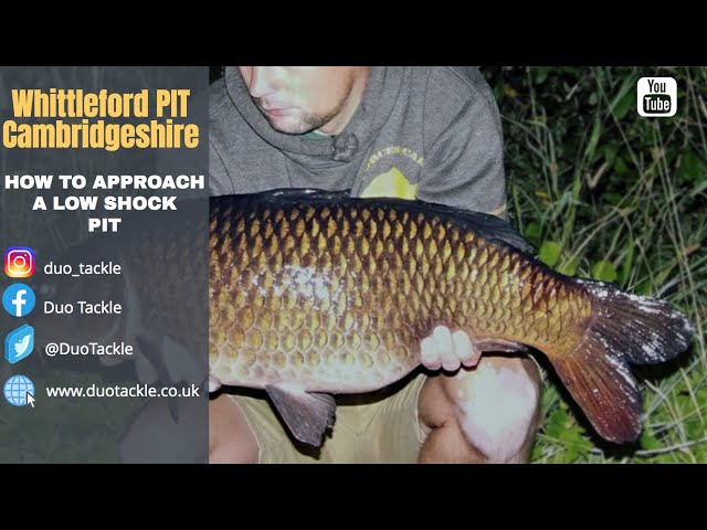 WHITTLEFORD PIT - CARP FISHING - HOW TO APPROACH LOW STOCKED CARP LAKES AND PITS