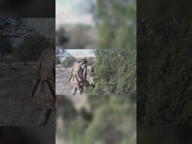 🔥 Hunters Spot Wild Turkeys in the Jungle! 🦃🏹