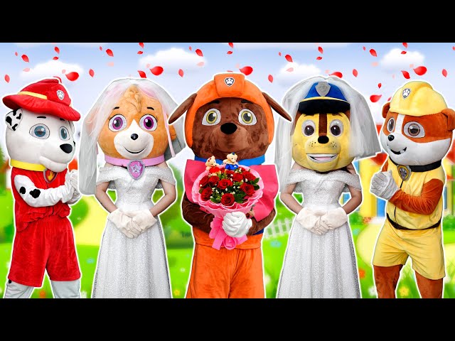 Bride Skye is Kidnapped by Mayor Humdinger - Paw Patrol Real Life