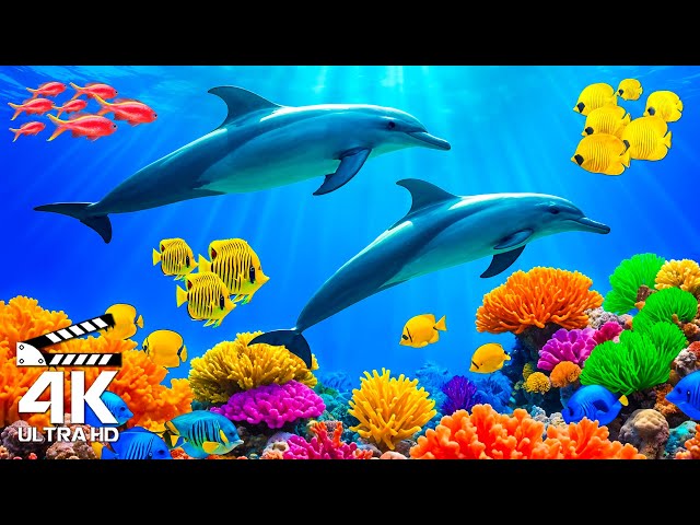 Peaceful Marine Habitats 4K (ULTRA HD) - Immerse Yourself in a World of Colorful Marine Life