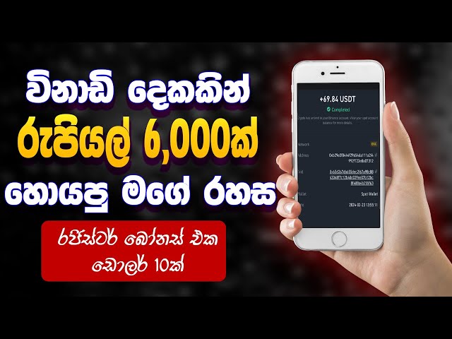 How To Make Money Online In Sinhala - Learn How To Make E-Money Successfully