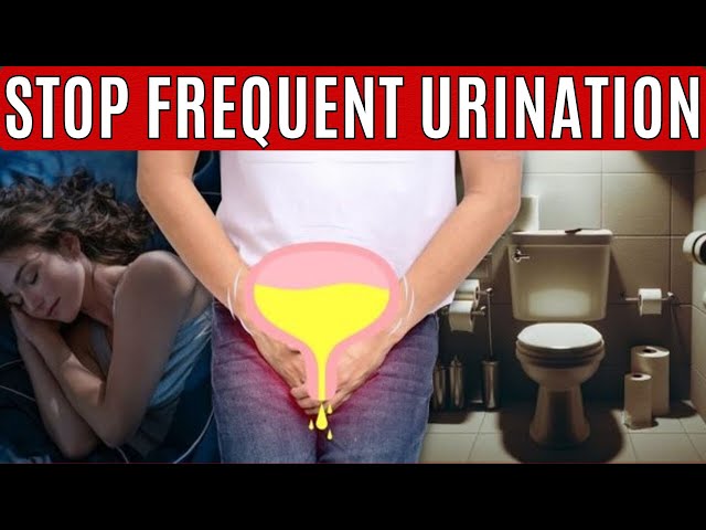 Just 3 Vitamins to STOP Frequent Urination at Night! | NOCTURIA Signs