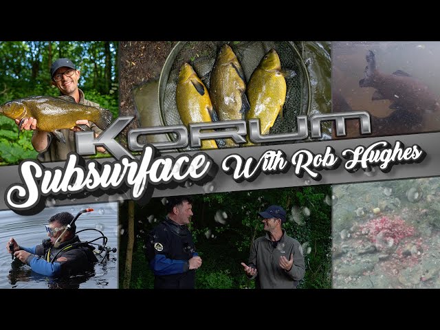 KORUM SUBSURFACE - Tench underwater with Rob Hughes- Horcott Lakes