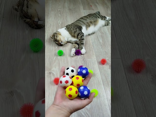 Funny Cats 🐱❤ Beads Cube Marbles 🔴 Reverse Video