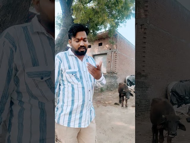 Kitni mehnat se kamate ho yah koi nahin puchta #ternding #taninding #viral #shorts