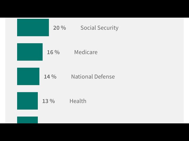 DOGE (Department of Government Efficiency) cannot cut annual government spending by 2 trillion