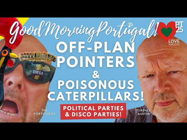 Off-plan pointers, poisonous caterpillars & parties on Good Morning Portugal!