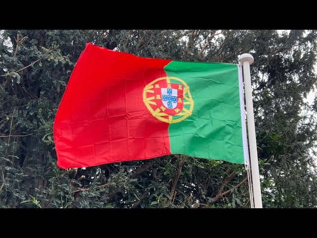 Portugal Flag Waving 🇵🇹