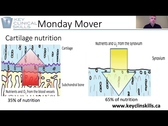 Movement and Joint Health- including OA!